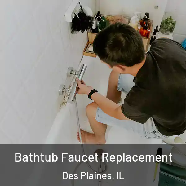  Bathtub Faucet Replacement Des Plaines, IL