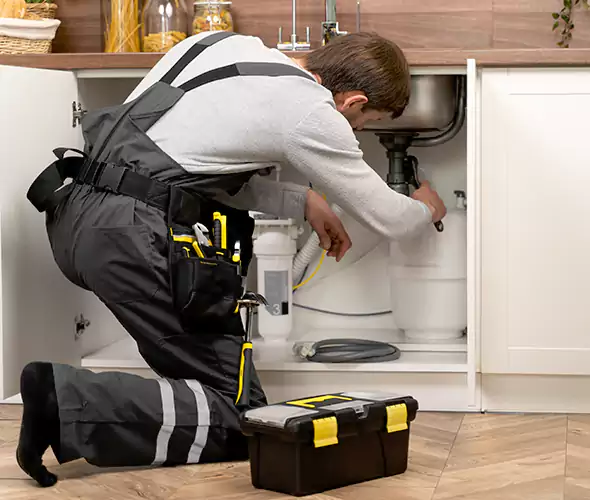 Certified Plumbers for Insinkerator Installation in Des Plaines
