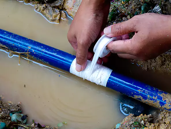  Why Choose Des Plaines Plumbing Pro for Leak Detection in Des Plaines, IL?]