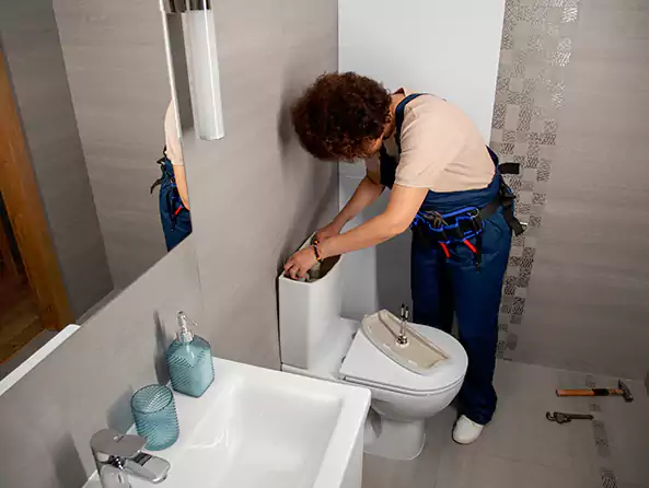 Why Choose Des Plaines Plumbing Pro for Plumbers Near Me in Des Plaines, IL?