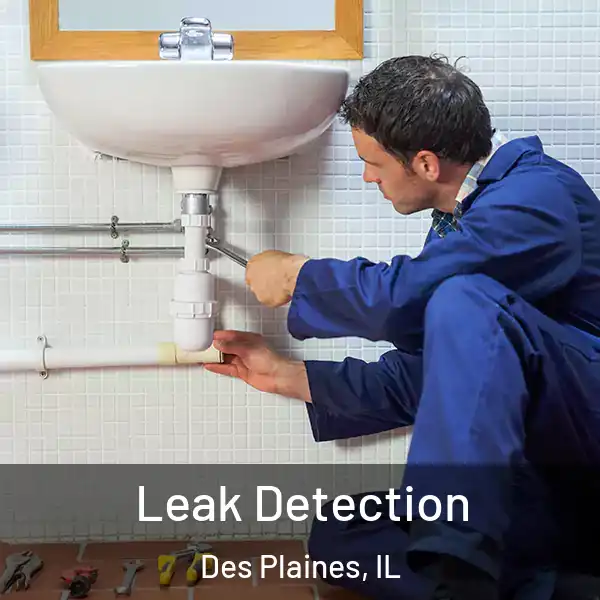  Leak Detection Des Plaines, IL