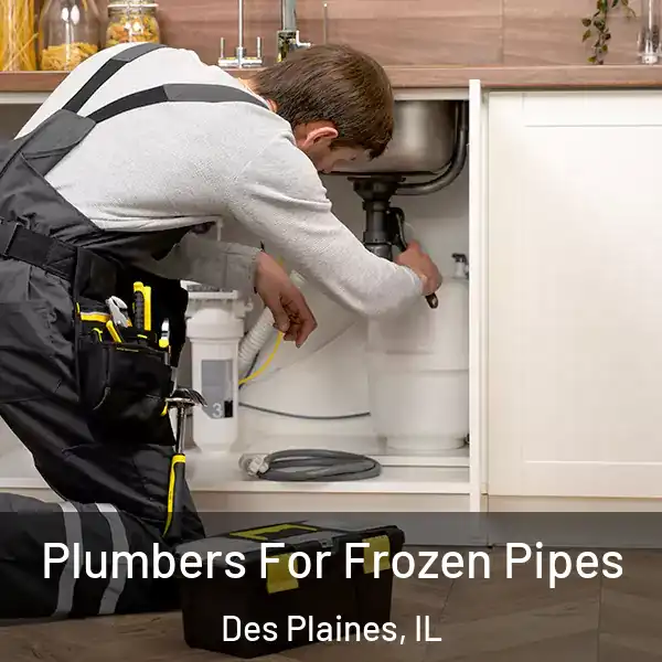  Plumbers For Frozen Pipes Des Plaines, IL