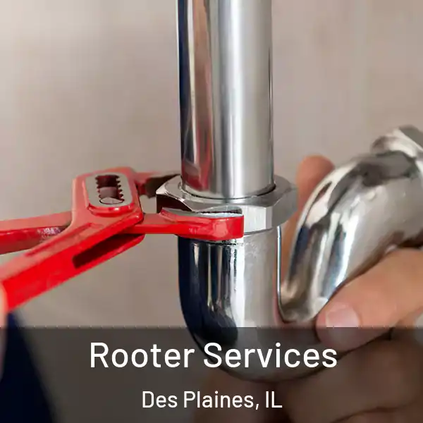  Rooter Services Des Plaines, IL