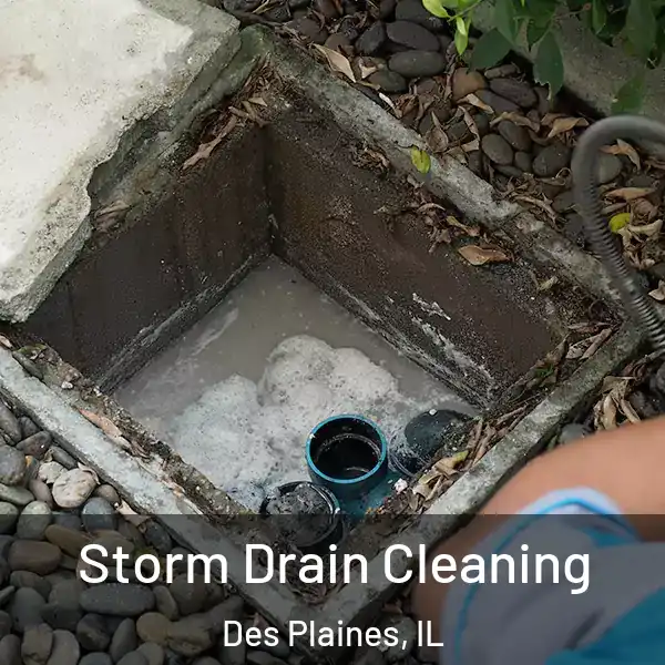  Storm Drain Cleaning Des Plaines, IL