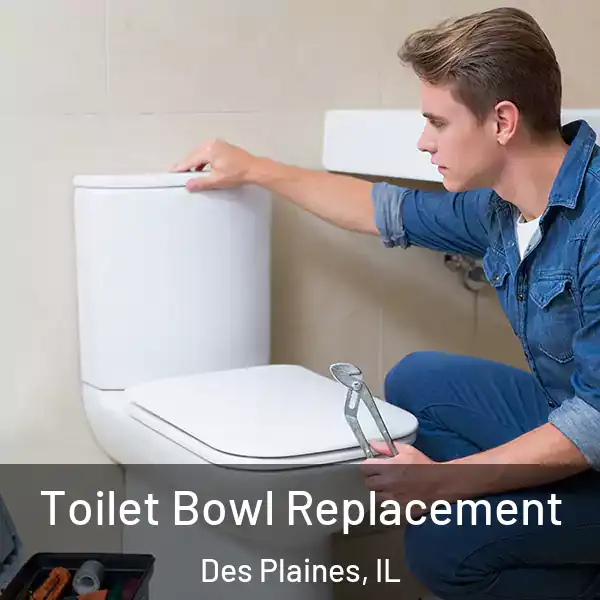  Toilet Bowl Replacement Des Plaines, IL