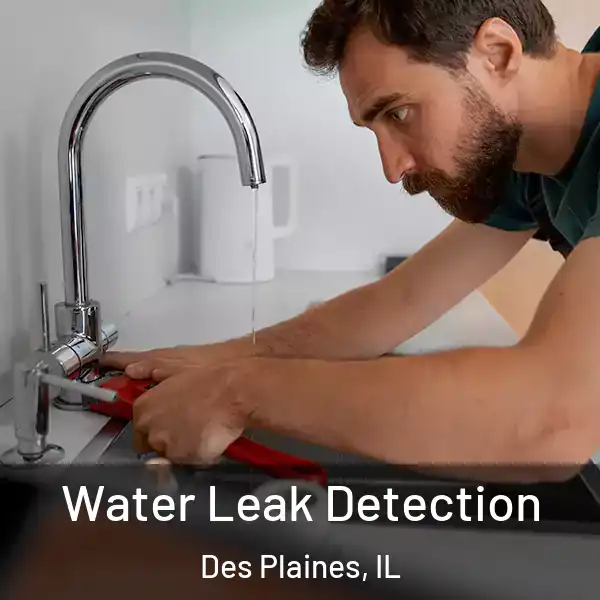  Water Leak Detection Des Plaines, IL
